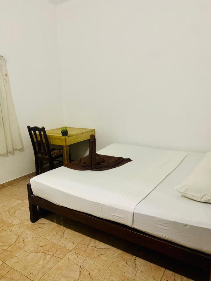 Dreamy Surf House Hotell Weligama Exteriör bild