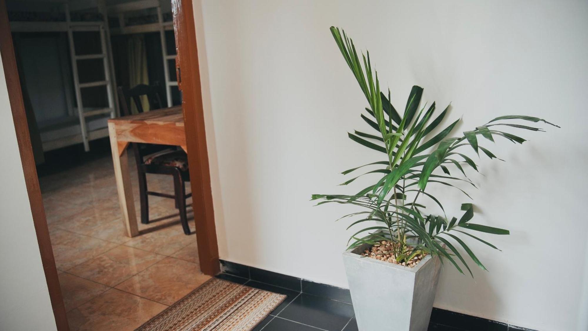 Dreamy Surf House Hotell Weligama Exteriör bild