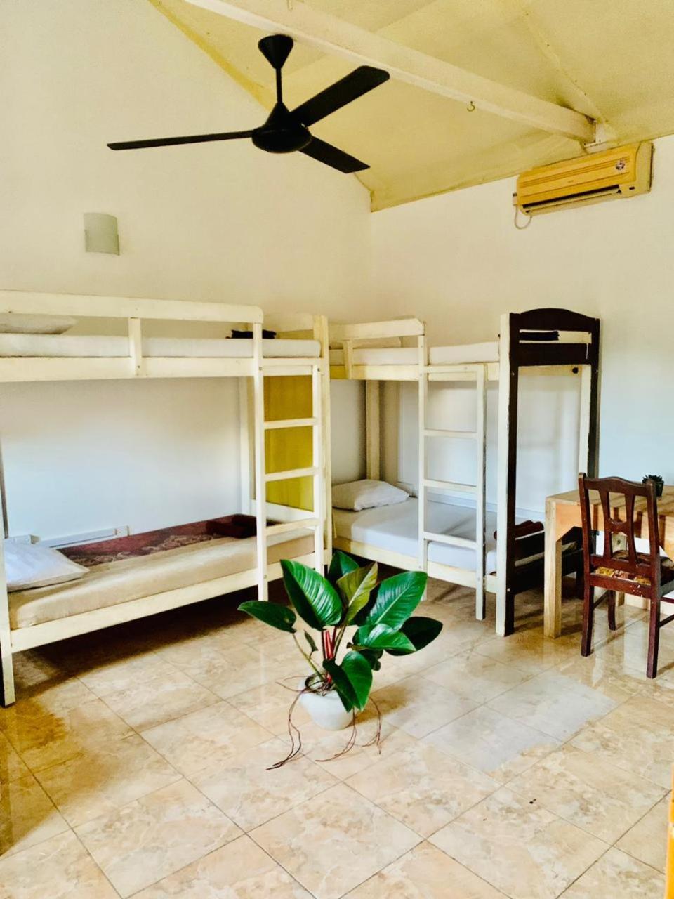 Dreamy Surf House Hotell Weligama Exteriör bild